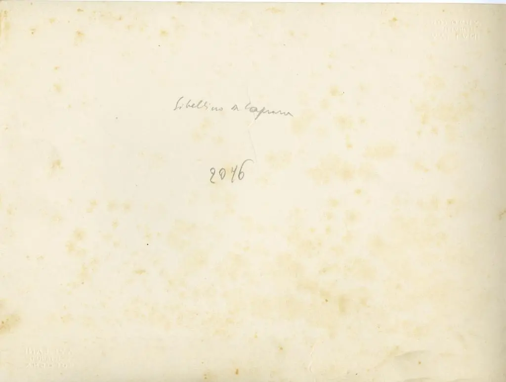 A. Villani e Figli , Sibellino da Caprara - sec. XIV - Angeli reggicandelabro; Madonna con Bambino in trono e angeli; Santa Caterina d'Alessandria e san Giovanni Battista presentano Manfredo Pio; San Giorgio uccide il drago; Giacente