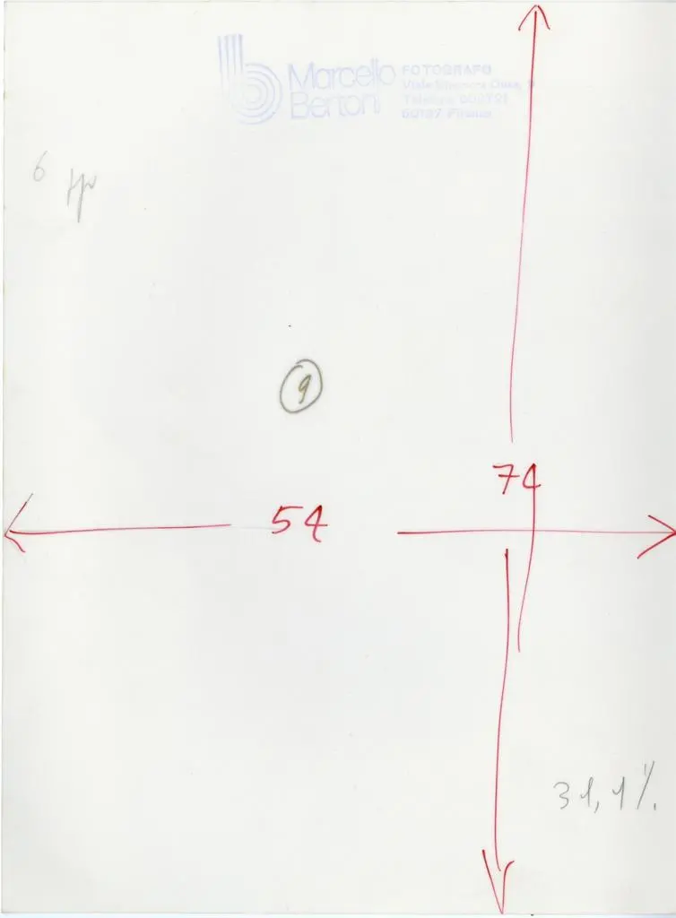 Bertoni Marcello , Anonimo bolognese - sec. XIII - Telamoni. Particolare del volto