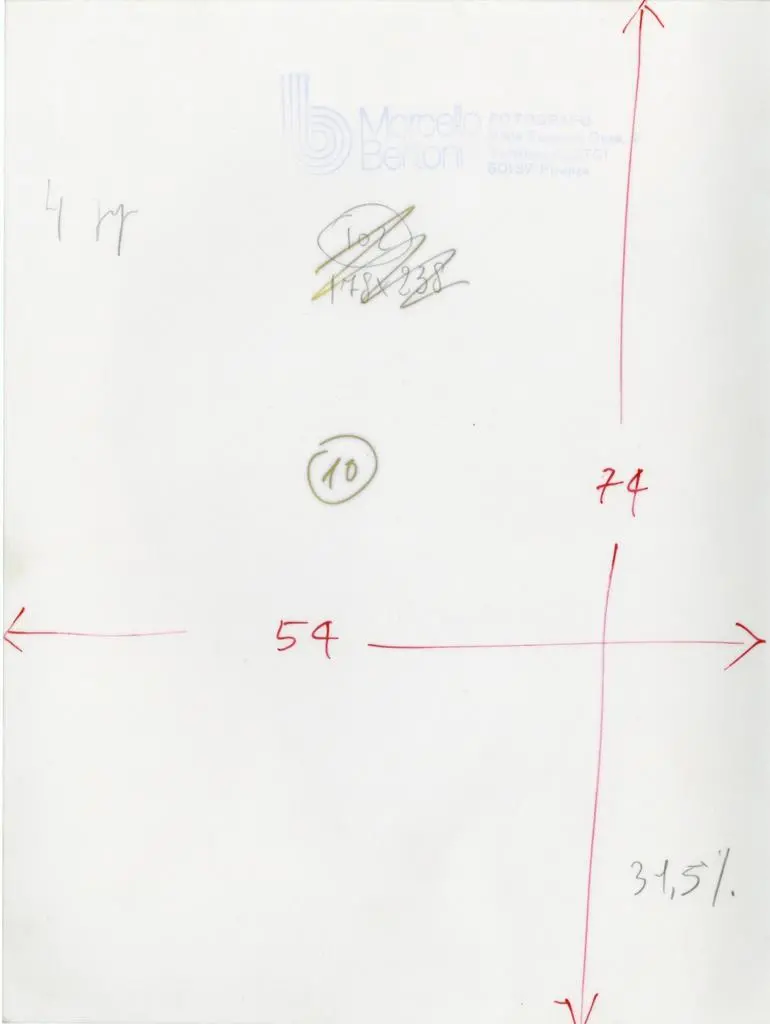 Bertoni Marcello , Anonimo bolognese - sec. XIII - Telamoni. Particolare del volto