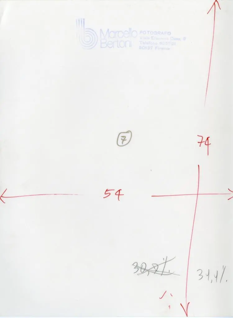 Bertoni Marcello , Anonimo bolognese - sec. XIII - Telamoni. Particolare del volto