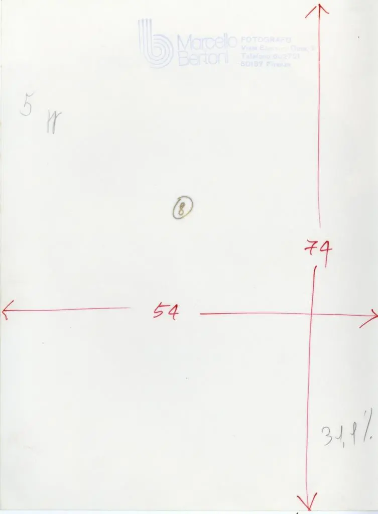Bertoni Marcello , Anonimo bolognese - sec. XIII - Telamoni. Particolare del volto
