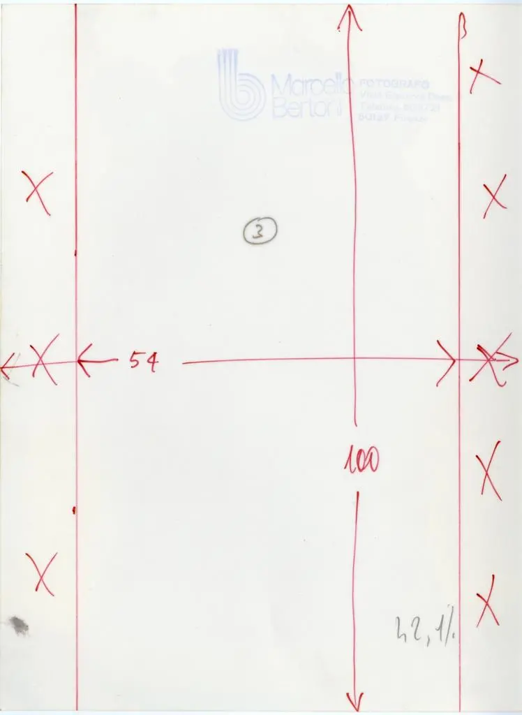 Bertoni Marcello , Anonimo bolognese - sec. XIII - Telamoni