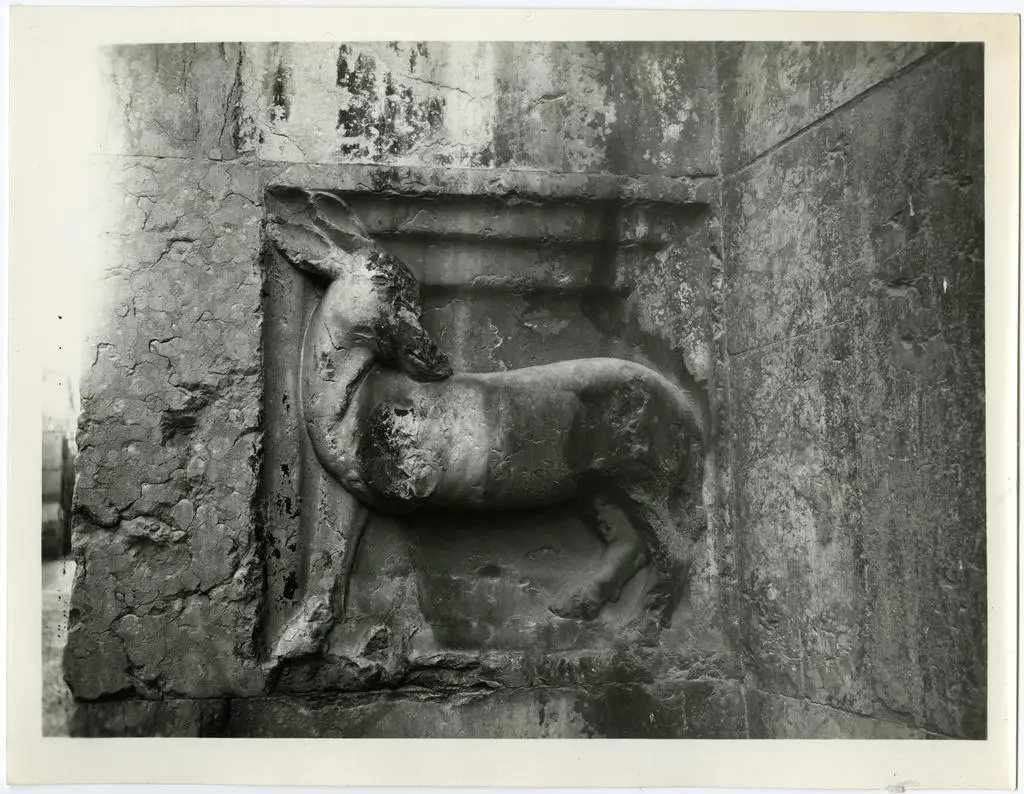 Anonimo , Antelami Benedetto - seguace - sec. XII/ XIII - Capra