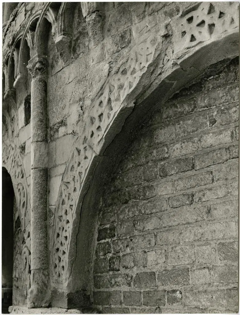 Anonimo , Anonimo - sec. XII/ XIII - Motivi decorativi geometrici e vegetali