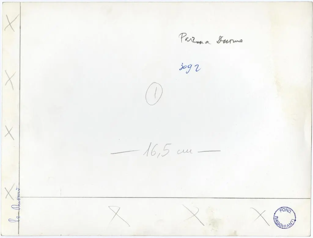 Anonimo , Anonimo - sec. XII/ XIII - Motivi decorativi geometrici e vegetali