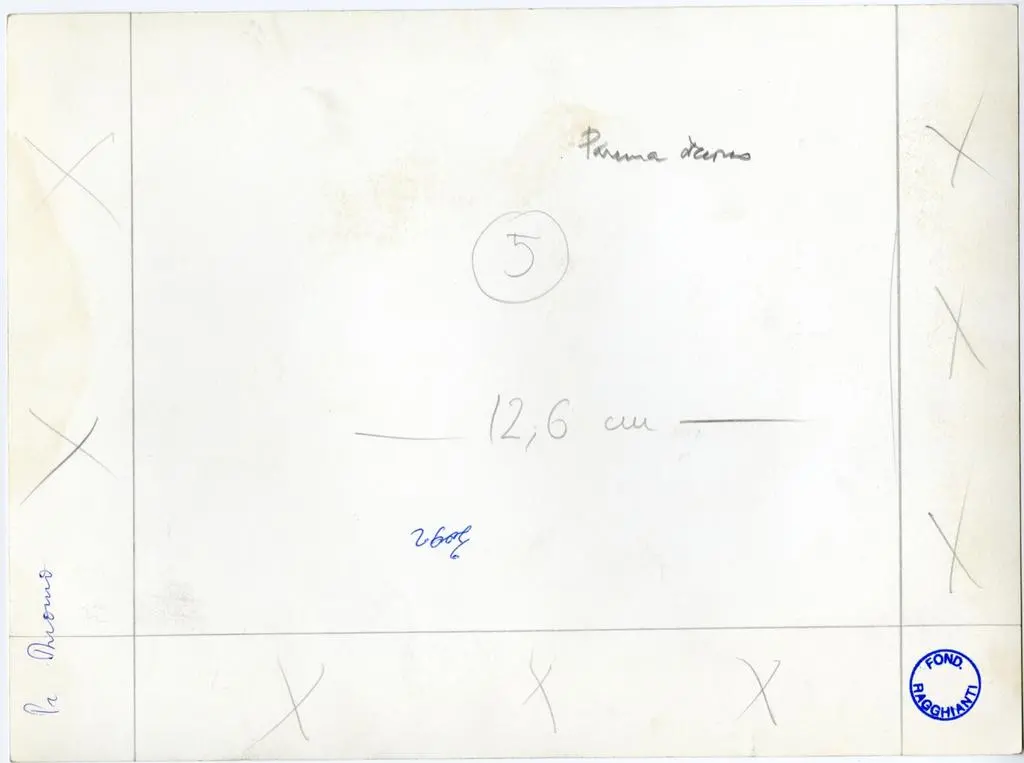 Anonimo , Anonimo - sec. XII/ XIII - Motivo decorativo zoomorfo