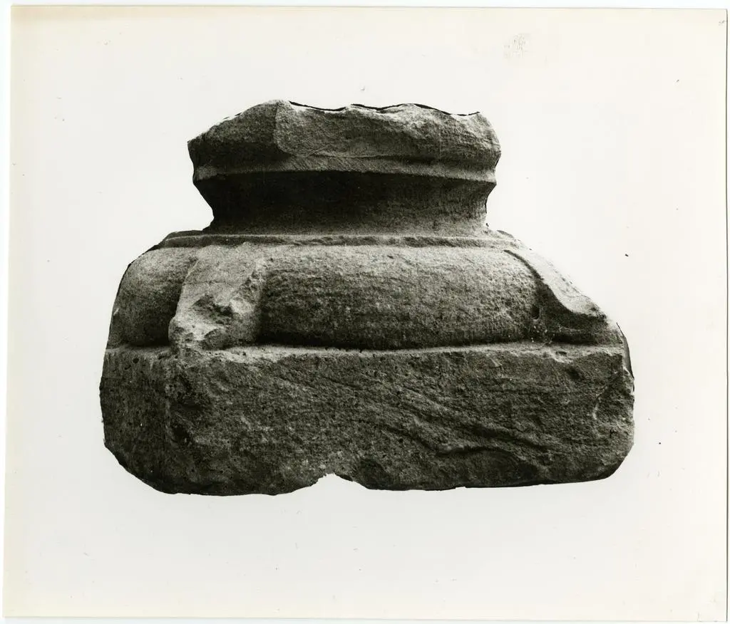 Anonimo sec. XII , Motivo decorativo vegetale