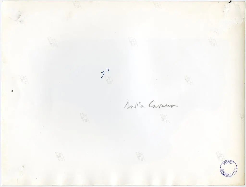 Anonimo , Anonimo - sec. XII - Motivo decorativo a foglie