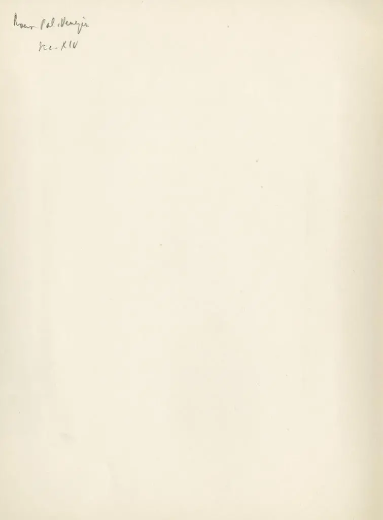 Anonimo , Anonimo - sec. XIV - Testa di vescovo