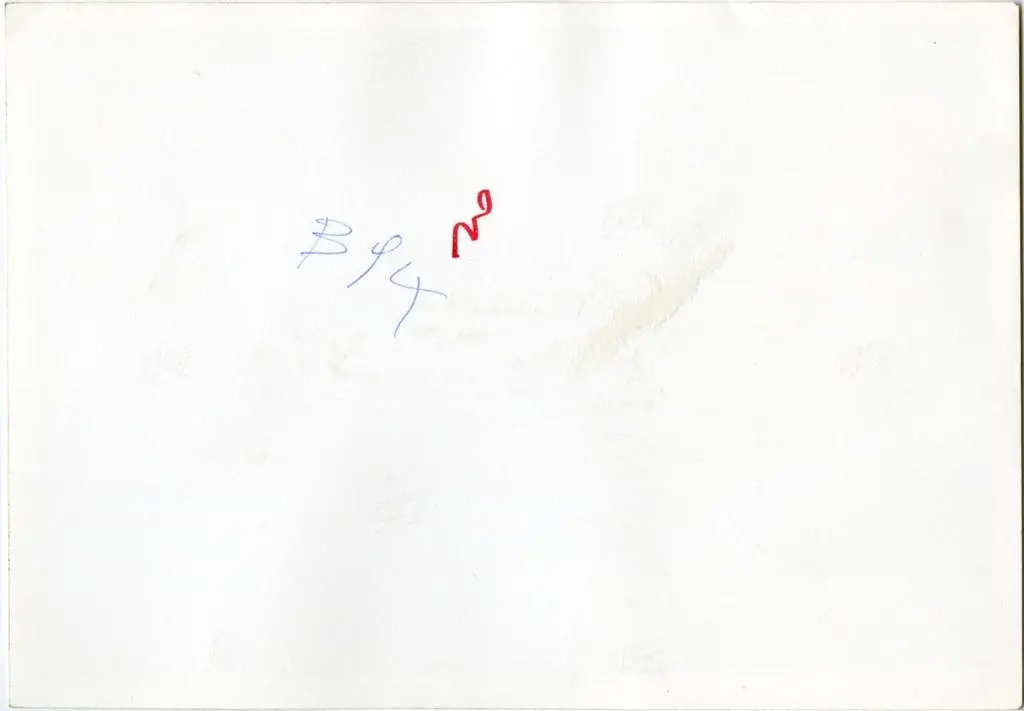 Anonimo , Anonimo lombardo - sec. XI/ XII - Motivi decorativi a girali vegetali