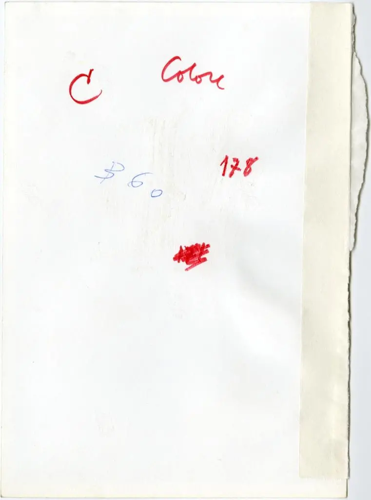 Anonimo , Anonimo lombardo - sec. XI/ XII - Motivi decorativi vegetali e animali; Motivo decorativo con figure umane