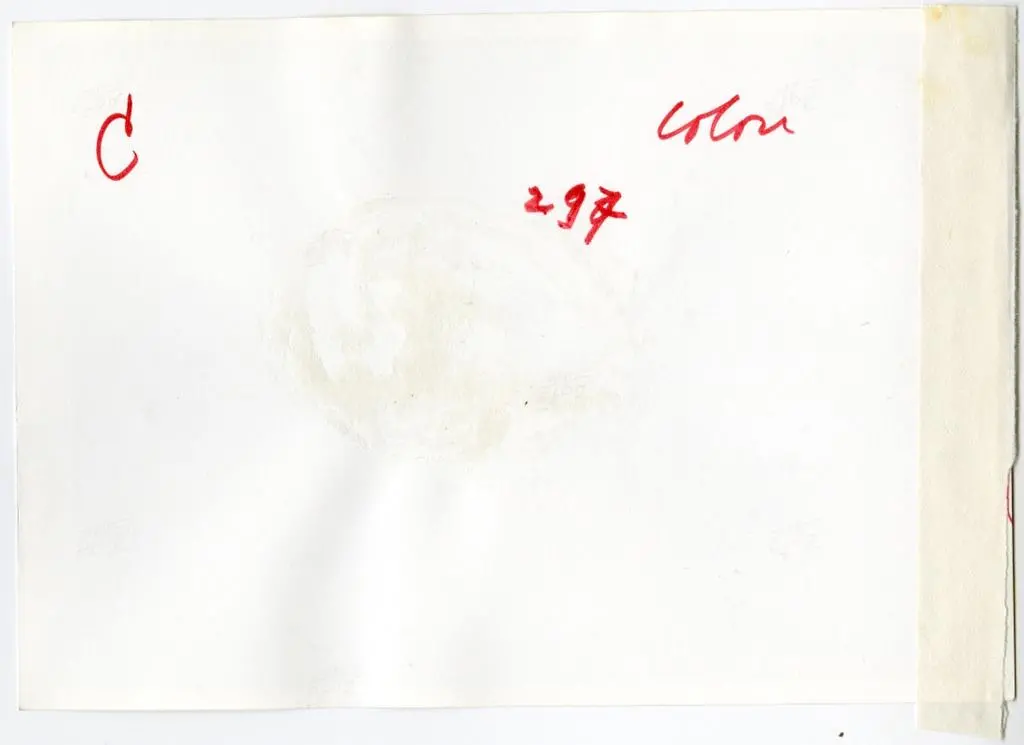 Anonimo , Anonimo lombardo - sec. XI/ XII - Motivo decorativo con animali fantastici