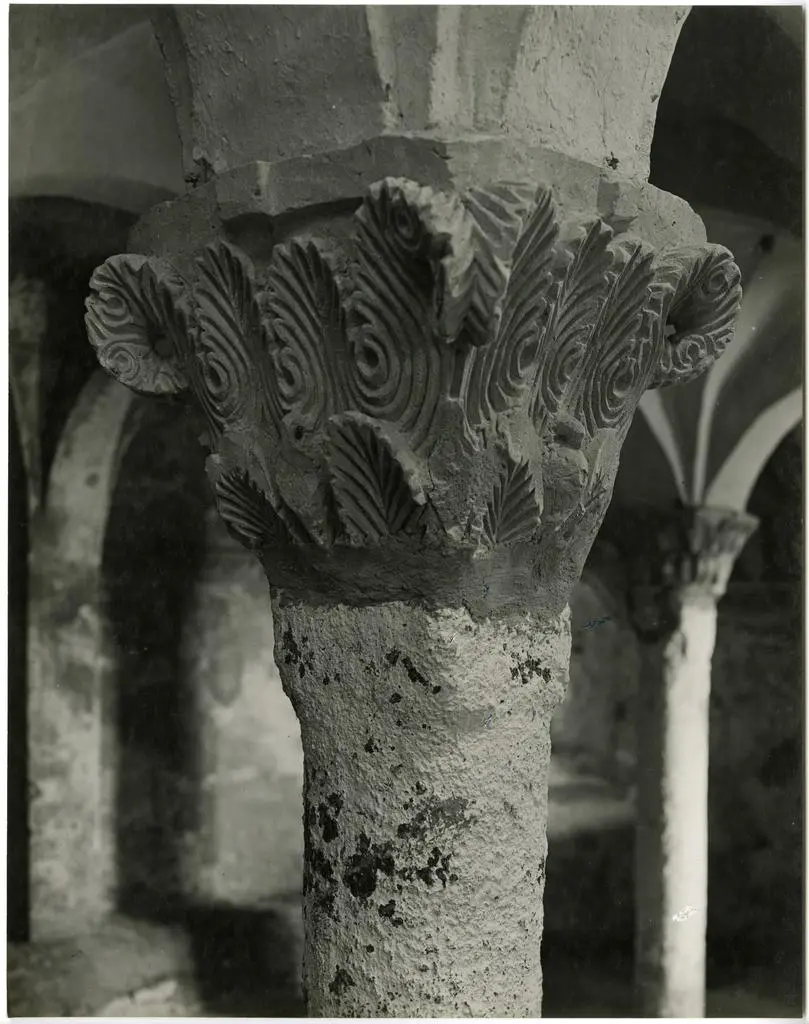 Anonimo , Anonimo lombardo - sec. XI - Motivi decorativi