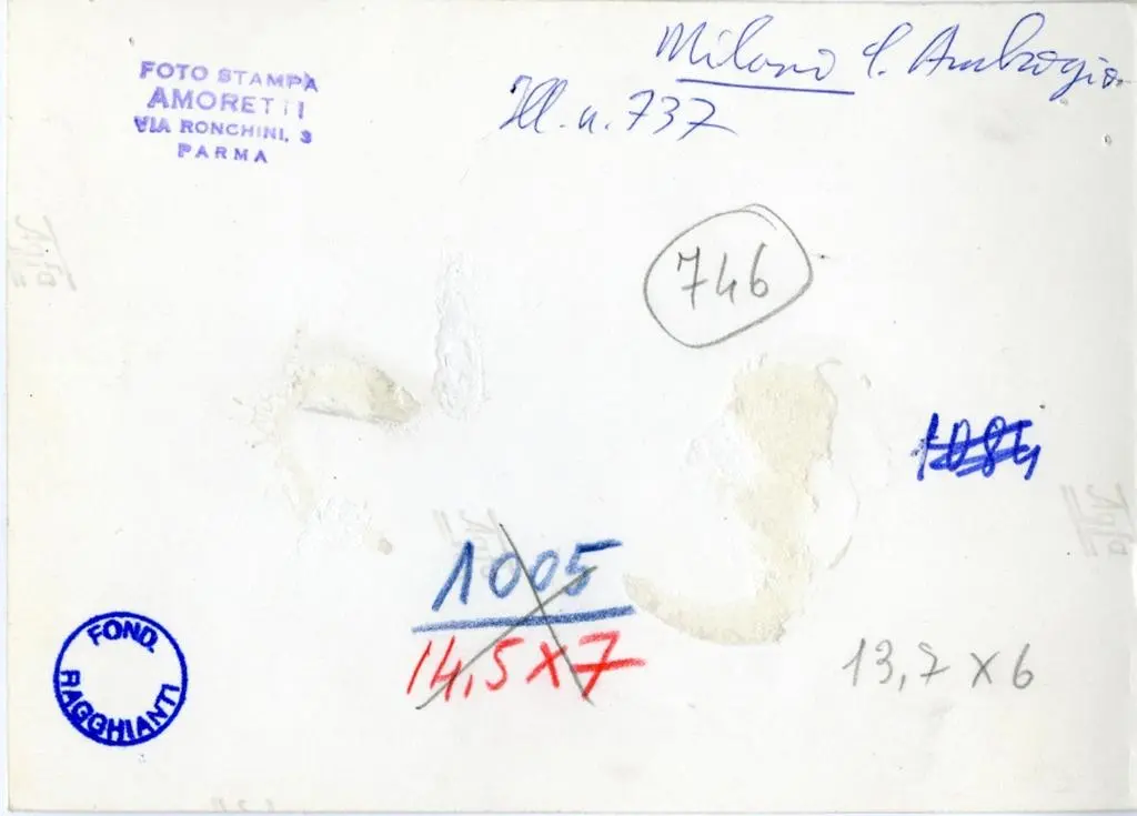 Foto Amoretti , Anonimo milanese - sec. XI - Motivi decorativi vegetali e animali