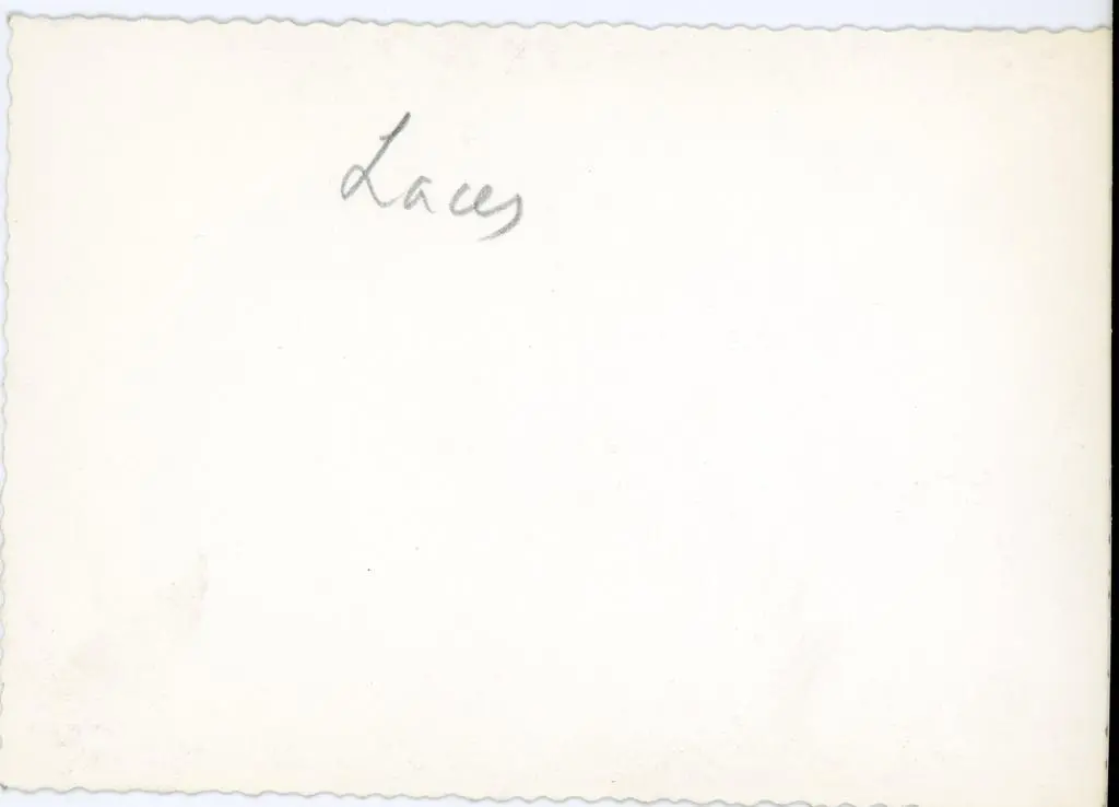 Anonimo , Anonimo - sec. XIII - Leone