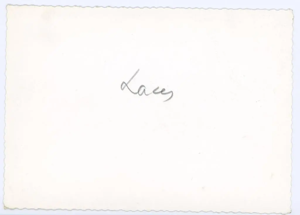 Anonimo , Anonimo - sec. XIII - Leone