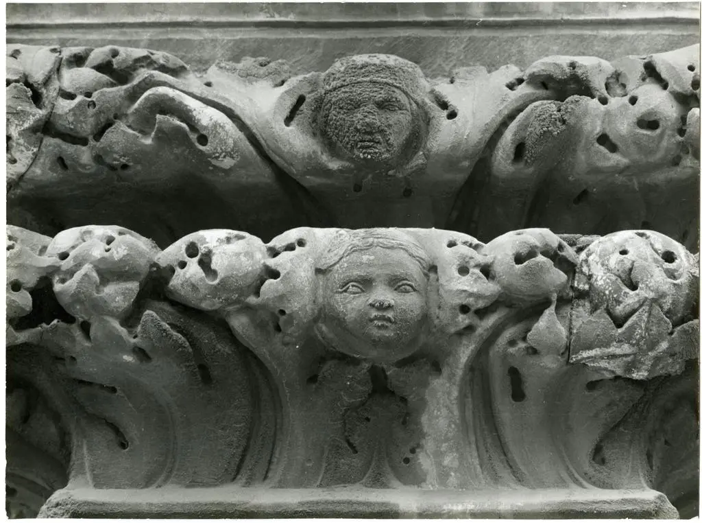 Anonimo toscano sec. XIV , Motivi decorativi vegetali con putto, Testa maschile