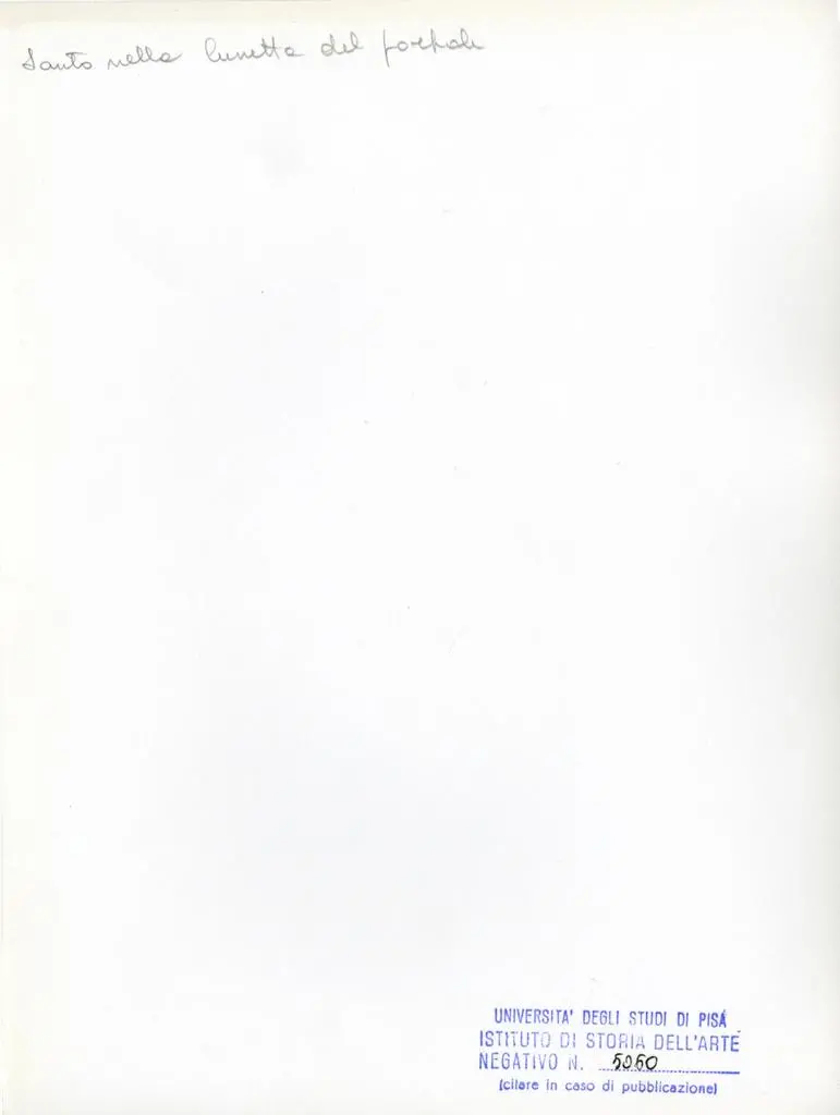 Universit&agrave; di Pisa. Dipartimento di Storia delle Arti , Santo nella lunetta del portale