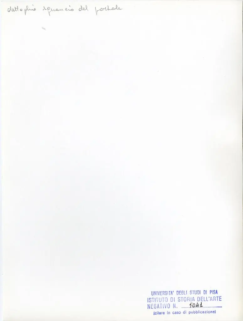 Universit&agrave; di Pisa. Dipartimento di Storia delle Arti , dettaglio sguancio del portale