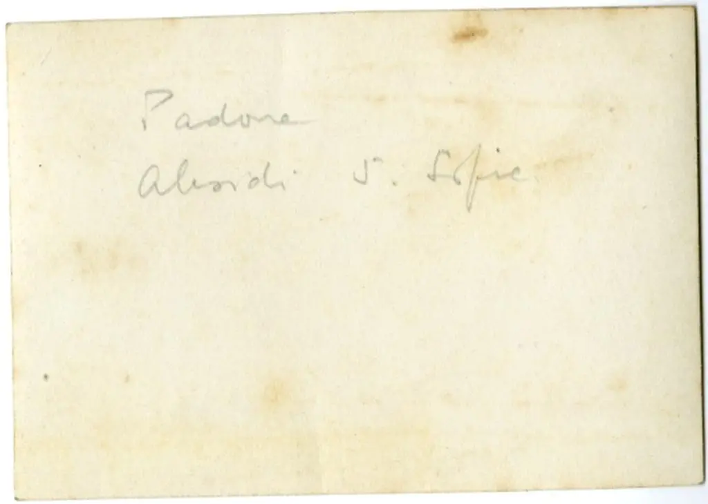 Anonimo , Padova - Absidi S. Sofia