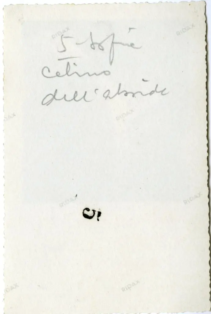 Anonimo , S. Sofia - catino dell'abside