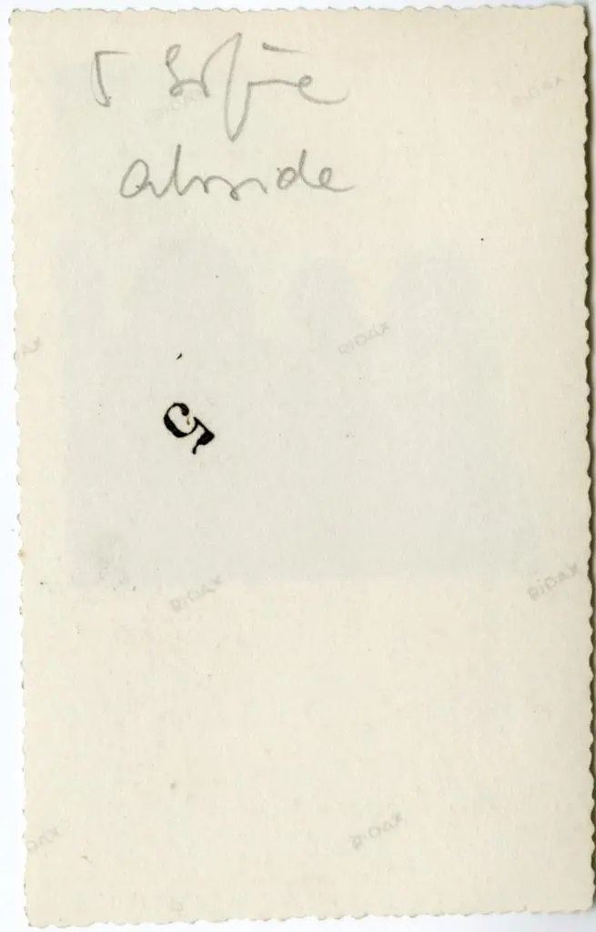 Anonimo , S. Sofia - abside