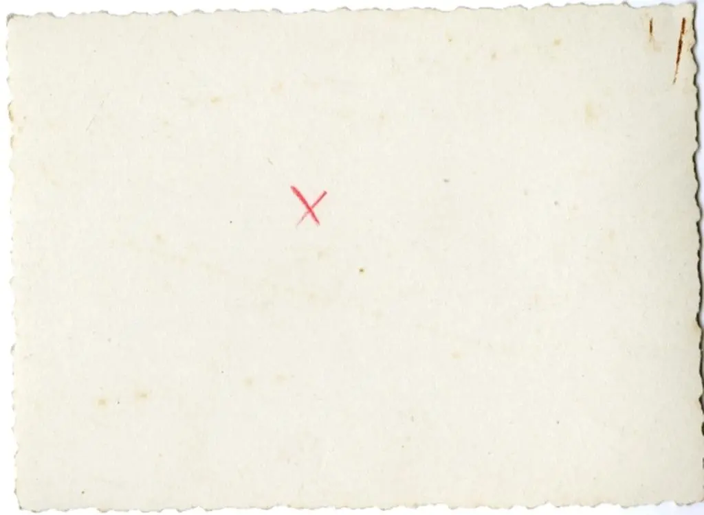 Anonimo , Anonimo - sec. XI/ XII - Capitello con motivi decorativi geometrici e girali vegetali