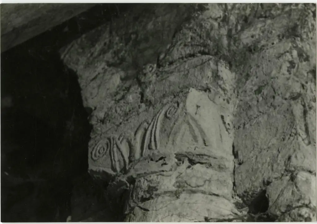 Anonimo , Motivi decorativi a volute