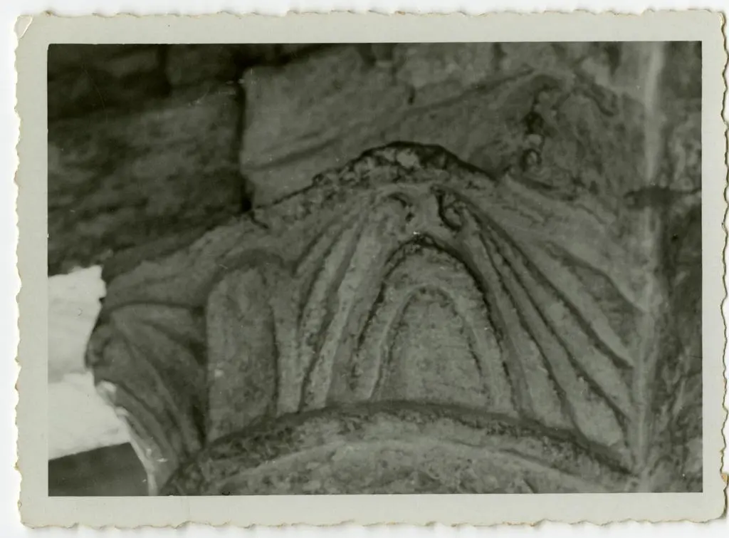 Anonimo , Motivo decorativo