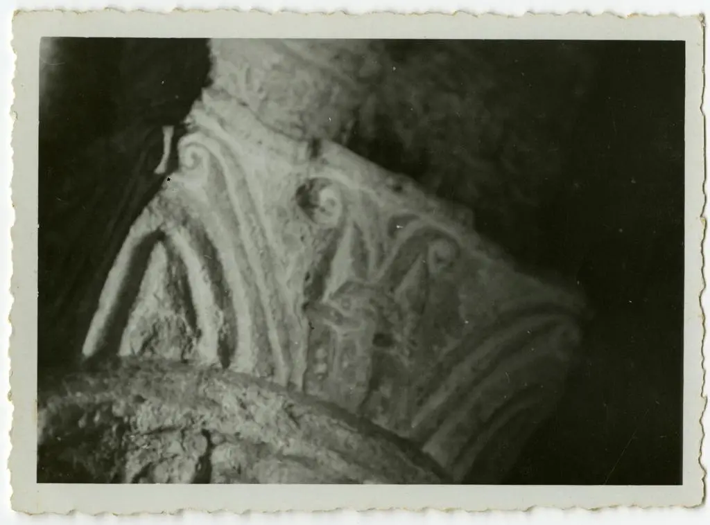 Anonimo , Motivi decorativi a volute