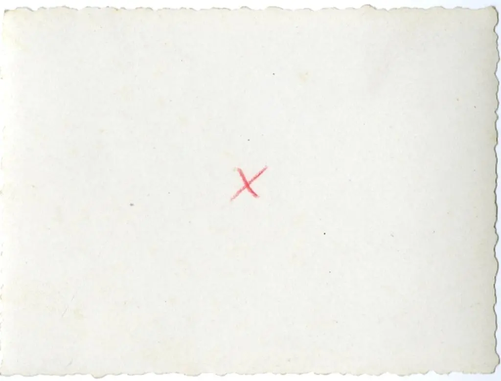 Anonimo , Anonimo - sec. XI/ XII - Motivi decorativi a volute