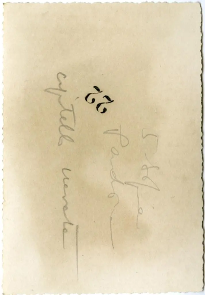 Anonimo , S. Sofia Padova - capitello navata