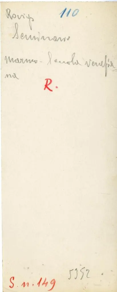 Anonimo , Rovigo, Seminario - marmo - Scuola veneziana