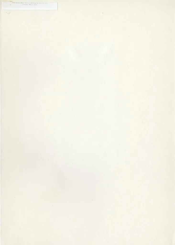 Anonimo , Saint Michel (Statue bois) - Allemagne du Sud, XVe si&egrave;cle (Collection Martin Le Roy)