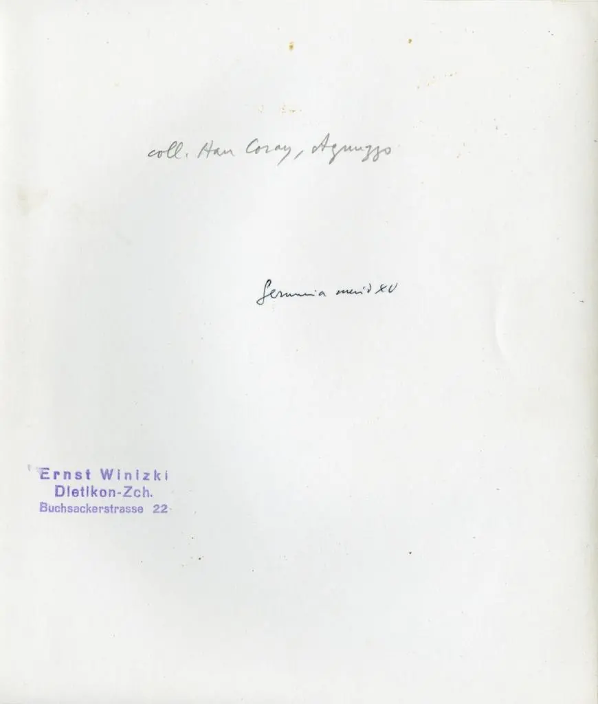 Winizki, Ernst , Coll. Han Coray, Agnuzzo - Germania merid. XV