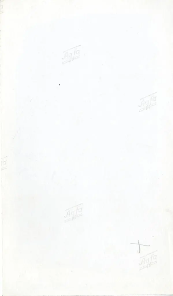 Anonimo , Fig. 565. - Vienna - Lapidarium. Stele