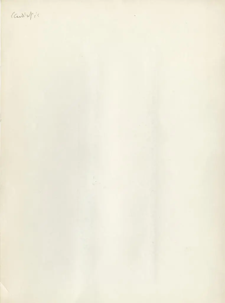 Anonimo , Anonimo scandinavo - sec. XI - Motivo decorativo zoomorfo