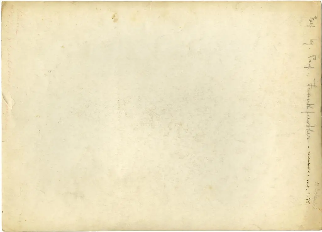 Foto Reali , Anonimo - sec. XV - Maria Vergine annunciata