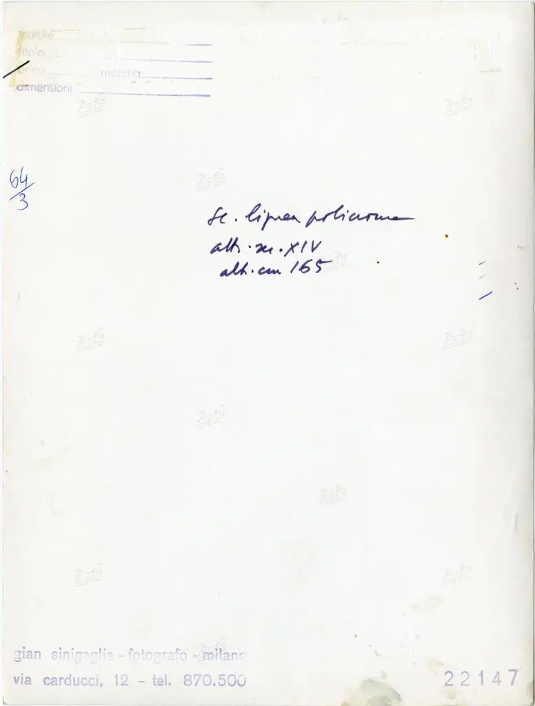 Sinigaglia, Gian , Anonimo - sec. XIV - Angelo annunciante