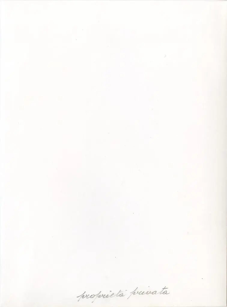 Anonimo , Francesco di Valdambrino - seguace - sec. XV - Angelo annunciante