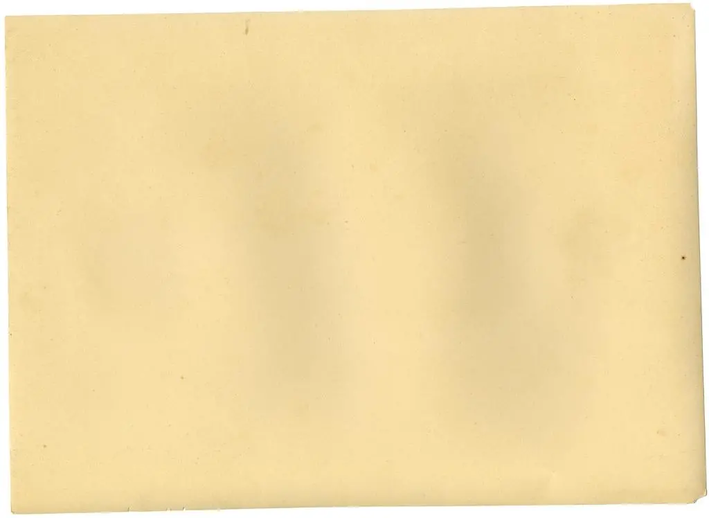 Anonimo , Lorenzo di Pietro; Domenico di Niccolò dei Cori - sec. XV - Angelo annunciante, retro