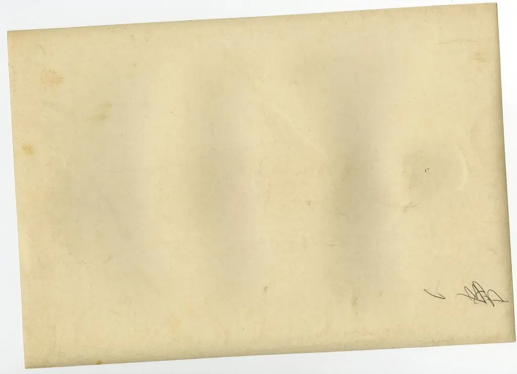 Anonimo , Lorenzo di Pietro; Domenico di Niccolò dei Cori - sec. XV - Angelo annunciante