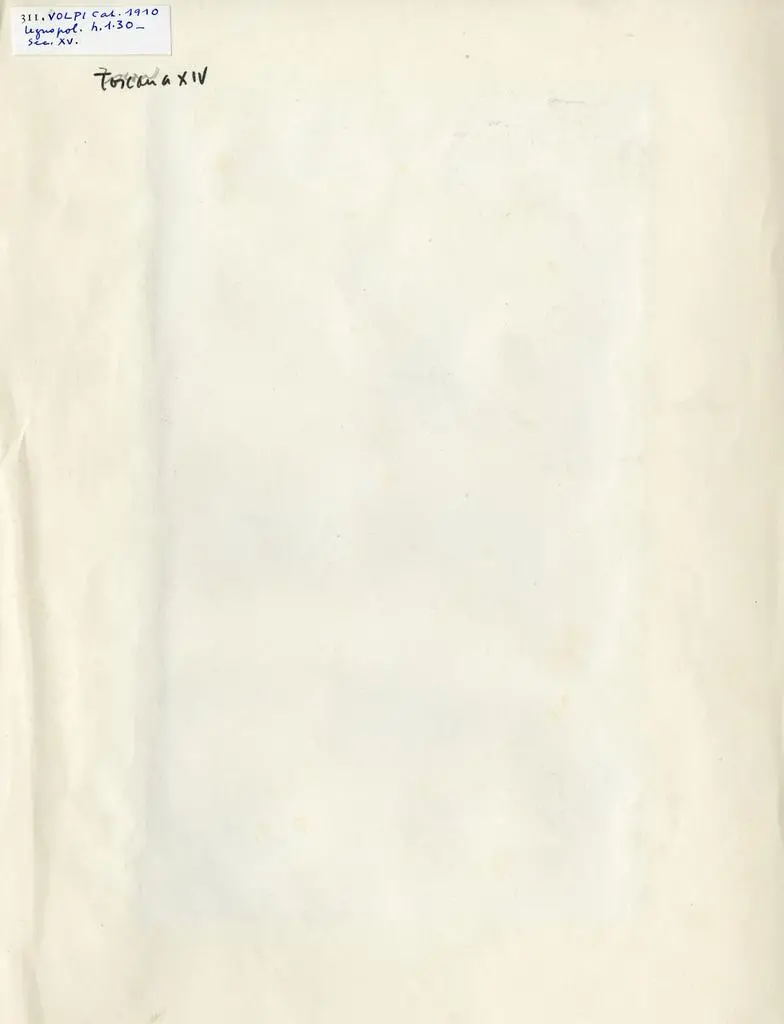 Danesi , Anonimo toscano - sec. XIV/ XV - Madonna con Bambino in trono