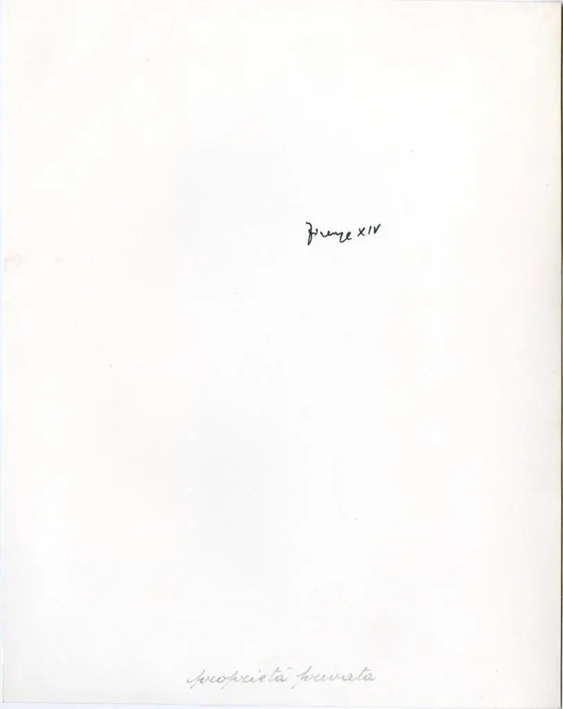 Anonimo , Anonimo fiorentino - sec. XIV - Madonna con Bambino benedicente