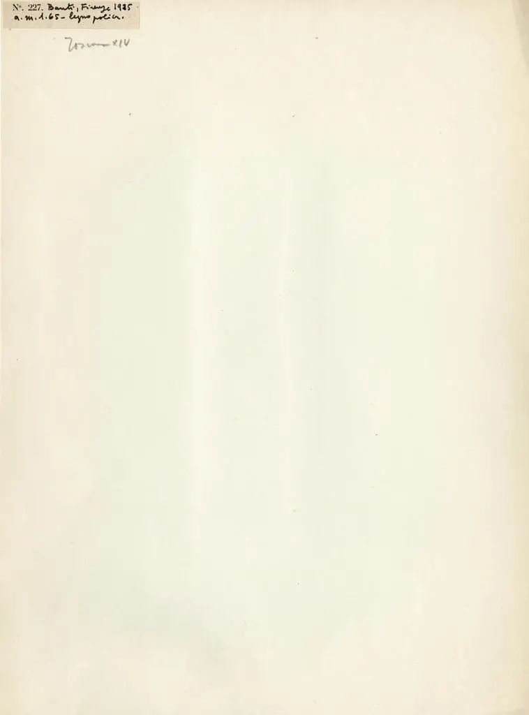 Anonimo , Anonimo toscano - sec. XIV - Maria Vergine annunciata