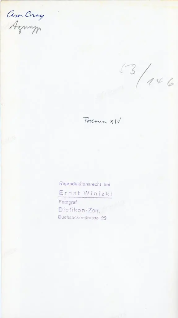 Winizki, Ernst , Anonimo toscano - sec. XIV - Santa Maria di Cleofa