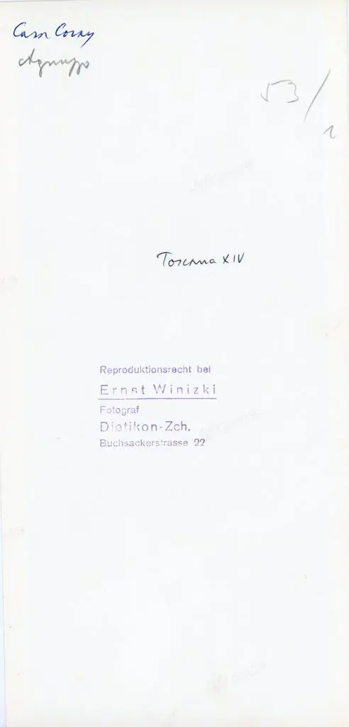 Winizki, Ernst , Anonimo toscano - sec. XIV - Madonna addolorata