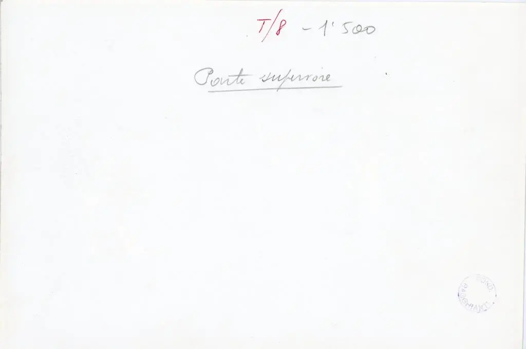 Anonimo , Anonimo - sec. XI/ XII - Motivi decorativi vegetali e teste umane