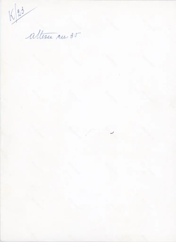 Anonimo , Anonimo - sec. XI/ XII - Motivi decorativi vegetali