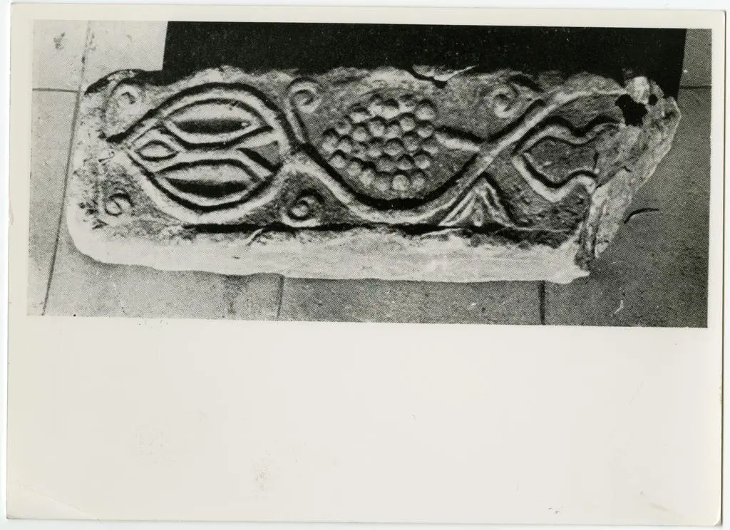 Anonimo , Anonimo lucchese - sec. VIII - Tralci, foglie e grappoli d'uva